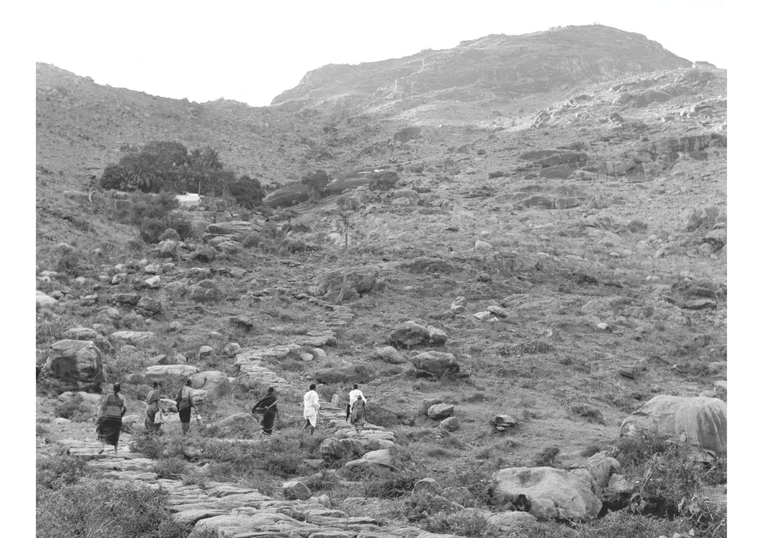 Landscape Terrain View